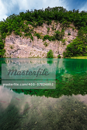 Fish in Turquoise Transparent Water of Plitvice Lakes, National Park, Croatia