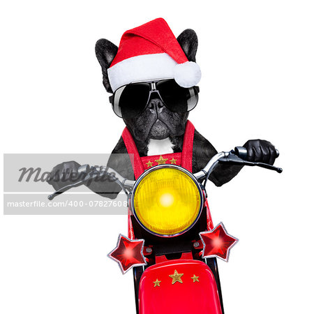 santa claus dog on motorbike bringing presents or gifts to everyone