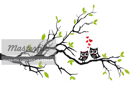 Cute owls in love sitting on green tree, vector illustration