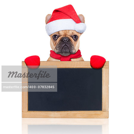 santa claus christmas dog behind and holding an empty blank  blackboard, isolated on white background