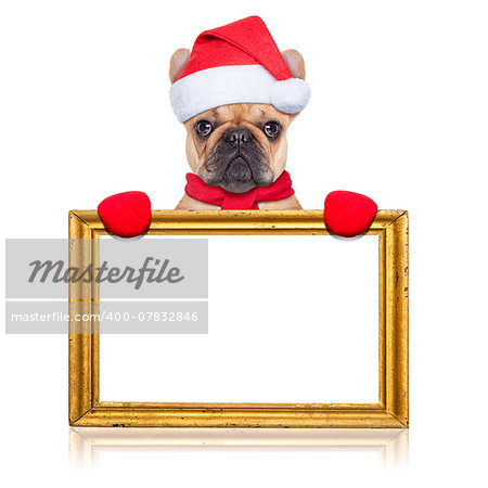 santa claus christmas dog behind and holding an empty blank golden retro frame, isolated on white background