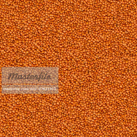 Uncooked Red Lentils Background. Seamless Tileable Texture.