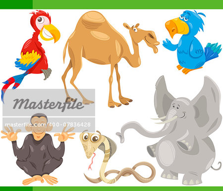 Cartoon Illustration of Funny Wild Animals Set