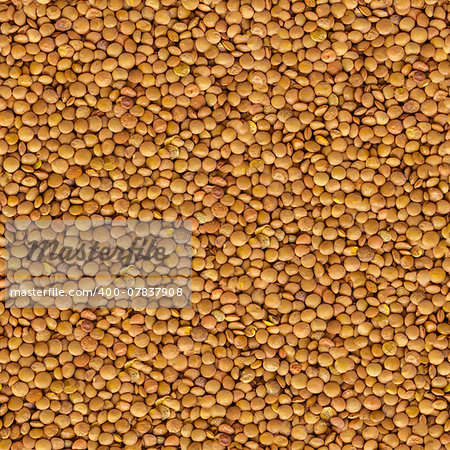 Lentil Yellow Evenly Layer Background.  Seamless Tileable Texture.