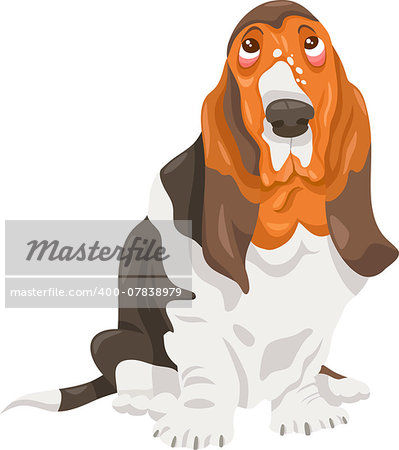 Cartoon Illustration of Cute Basset Hound Purebred Dog