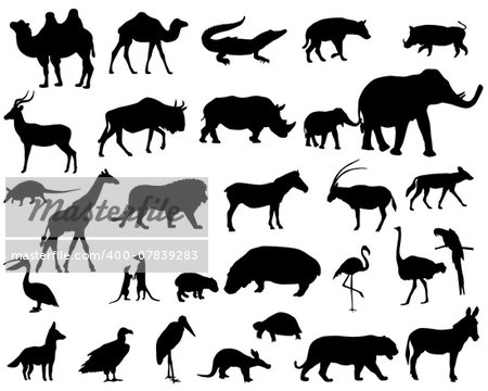 Collection of silhouettes of animals living in the territory of Africa