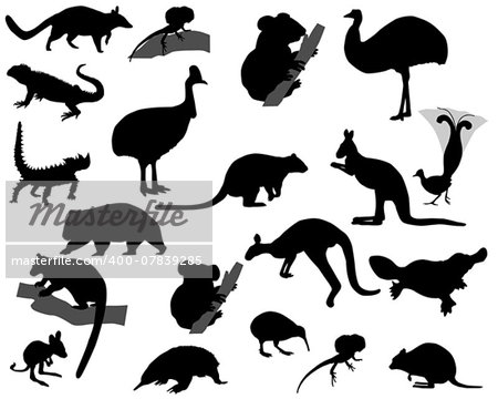 Collection of silhouettes of animals living in the territory of Australia