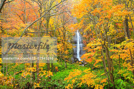 Autumn colors, Aomori Prefecture, Japan