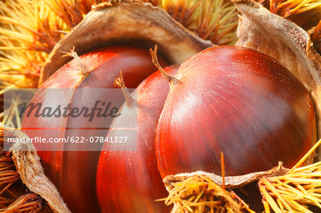 Chestnuts