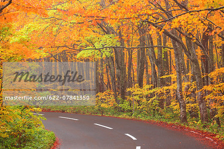 Autumn colors, Aomori Prefecture, Japan