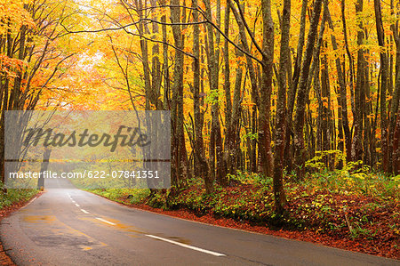 Autumn colors, Aomori Prefecture, Japan