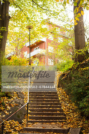 Steps covered by autumn leaves, block of flats on background