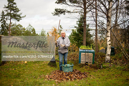 Senior woman raking leaves