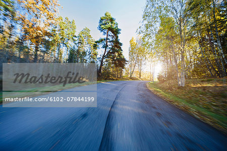 Road going through forest