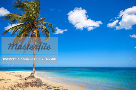 El Portillo Beach, Las Terrenas, Samana Peninsula, Dominican Republic, West Indies, Caribbean, Central America