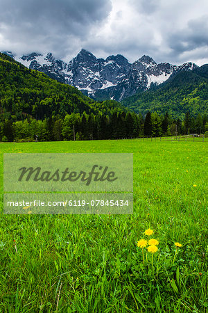 Juilan Alps just outside Kranjska Gora, Triglav National Park, Upper Carniola, Slovenia, Europe