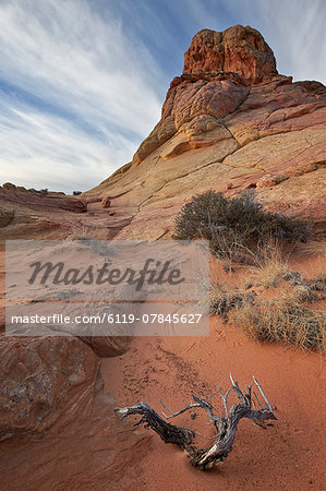 Dead branch and sandstone formations with clouds, Coyote Buttes Wilderness, Vermilion Cliffs National Monument, Arizona, United States of America, North America