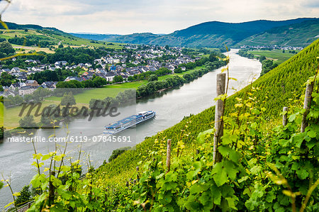 Cruise ship passing a vineyard at Muehlheim, Moselle Valley, Rhineland-Palatinate, Germany, Europe