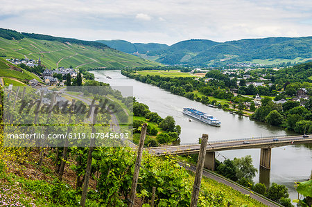 Cruise ship passing the vineyard near Lieser in the Moselle Valley, Rhineland-Palatinate, Germany, Europe