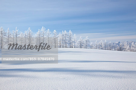 Snowy Hokkaido countryside, Japan