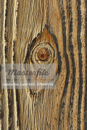 Close-up of wooden board, Bavaria, Germany Close-up of wooden board, Bavaria, Germany