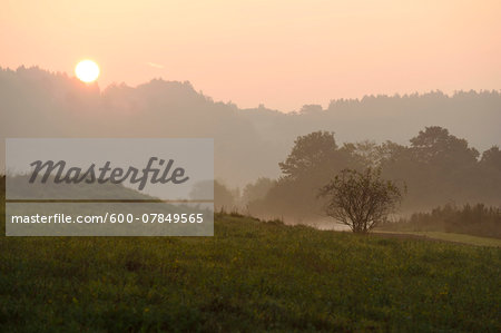 Landscape of a sunrise on a foggy morning in autumn, Upper Palatinate, Bavaria, Germany