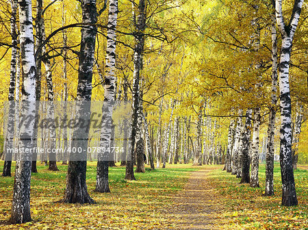 Pathway in golden autumn park