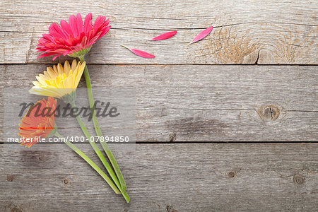 Three colorful gerbera flowers on wooden table with copy space
