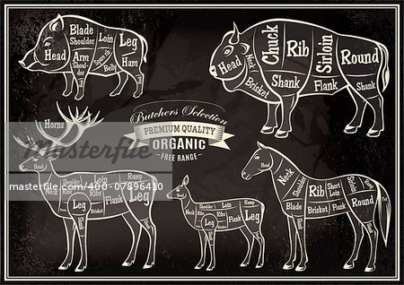 vector diagram cut carcasses of boar, bison, deer, horse