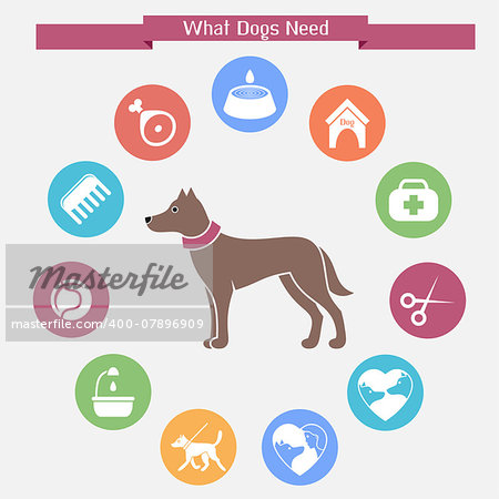 Dog infographics and icon set. What dogs need. Vector illustration in flat style