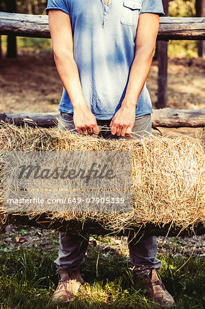 Cropped shot of young male farmer lifting straw bale, Premosello, Verbania, Piemonte, Italy