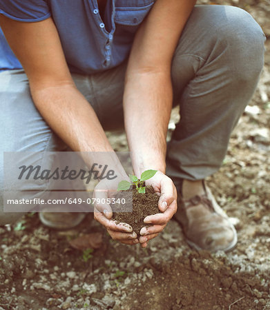 Cropped shot of young male farmer holding soil and seedling, Premosello, Verbania, Piemonte, Italy