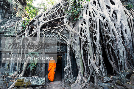 Cambodia, Siem Reap, Angkor Wat complex. Buddhist monk inside Ta Prohm temple (MR)