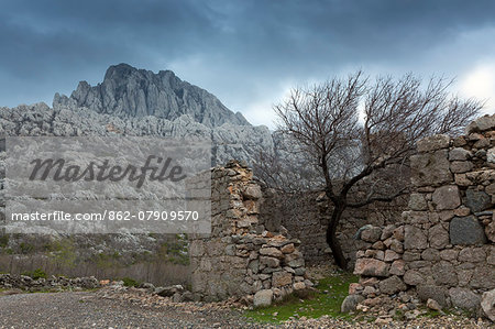 Europe, Croatia, Dalmatia, Paklenica national park, a lone tree growing in a ruined house set in rugged mountains in the Dinaric Alps, photographed in stormy weather