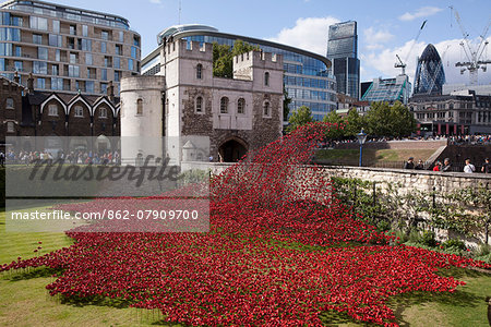 UK, England, London. Blood Swept Lands and Seas of Red, a major art installation at the Tower of London, marking one hundred years since the first full day of Britain's involvement in the First World War.