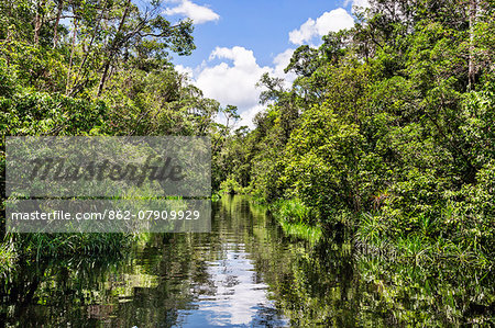 Indonesia, Central Kalimatan, Tanjung Puting National Park. A beautiful stretch of the Leakey Creek near the Sekonyer River.