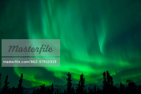 Aurora Borealis at Chena Hot Springs, Fairbanks, Alaska, USA