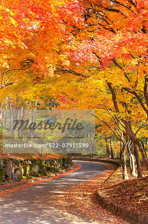 Autumn leaves, Nagano Prefecture, Japan