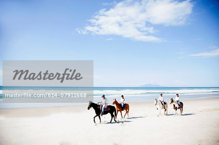Horse riding, Pakiri Beach, Auckland, New Zealand
