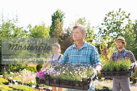 Male and female gardeners carrying crates with flower pots at plant nursery