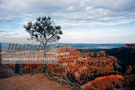 Bryce Canyon, Utah, USA