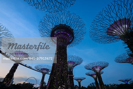 Gardens by the Bay at night, Singapore, Southeast Asia, Asia