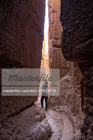 Woman standing in the sandstone chimneys in the Cathedral Gorge State Park, Nevada, United States of America, North America