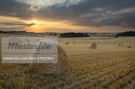 Round hay bales at harvest with sunset, Swinbrook, Cotswolds, Oxfordshire, England, United Kingdom, Europe Round hay bales at harvest with sunset, Swinbrook, Cotswolds, Oxfordshire, England, United Kingdom, Europe