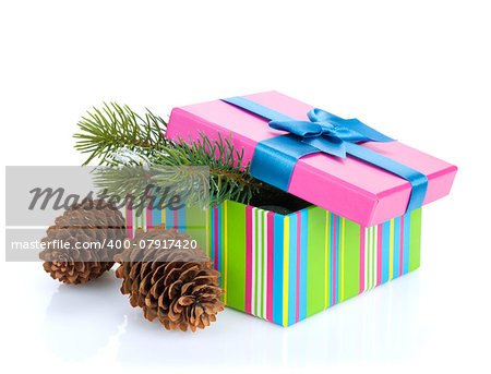 Christmas gift box with fir tree. Isolated on white background