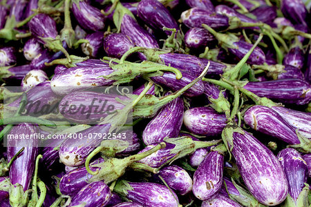 Fresh organic fairytale eggplant background, photo taken at local farmers market, in New York City