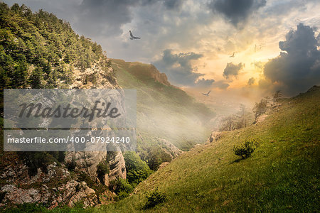 Birds over rocks and fog at the sunrise