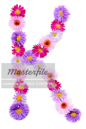 Letter K, multicolored aster flowers alphabet on white background