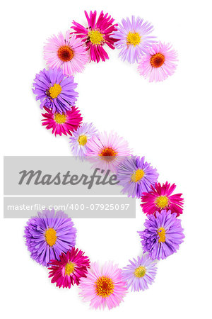 Letter S, multicolored aster flowers alphabet on white background