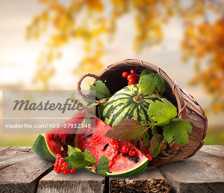 Watermelons in a basket on a nature background